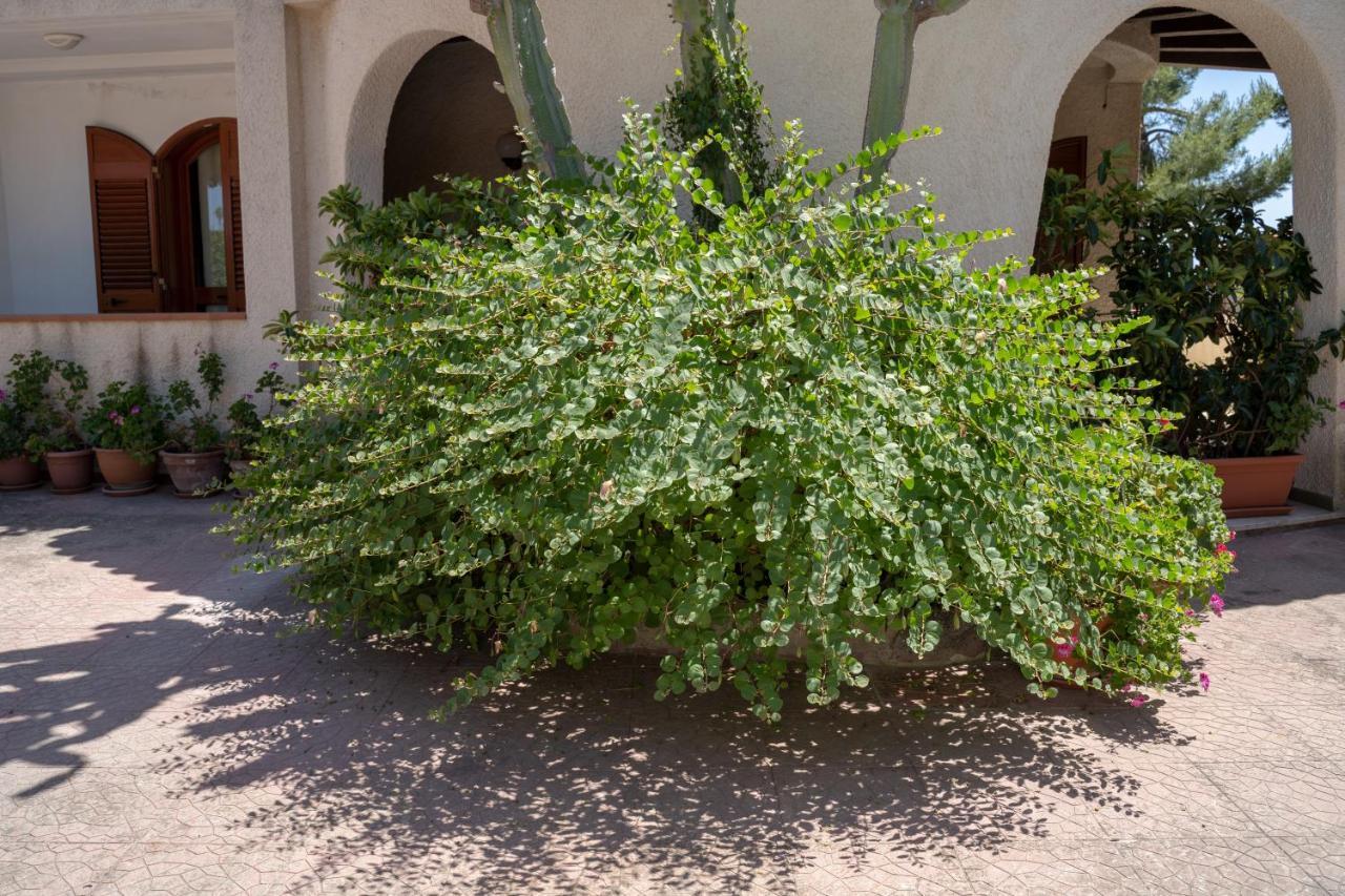 Terrazza Sul Plemmirio Bed & Breakfast Syracuse Luaran gambar